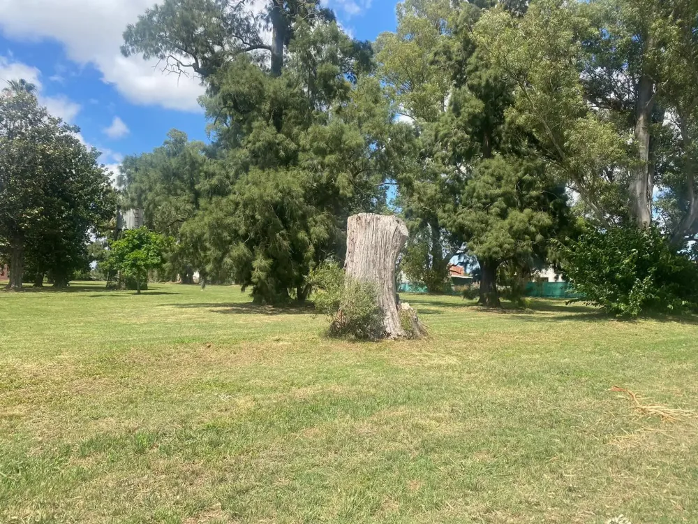 Terreno en La Magdalena Barrio Historico en Canning