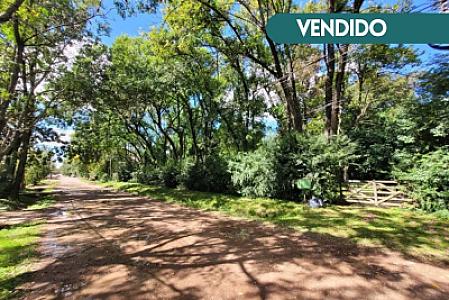 Los Platanos al 2500