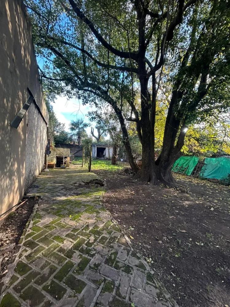 Las Heras 465